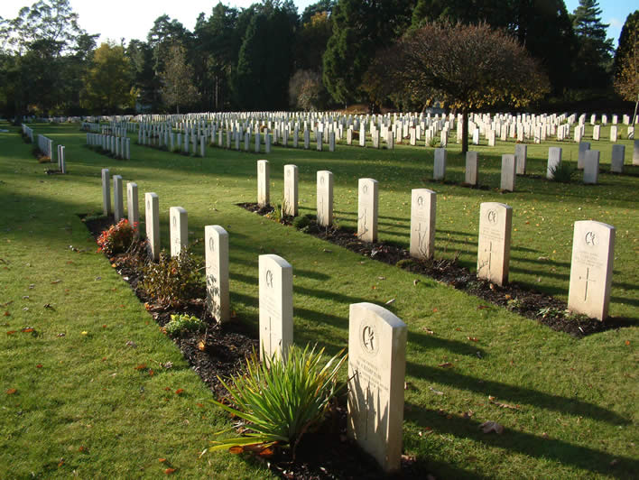 image of brookwood military cemetery gravsites